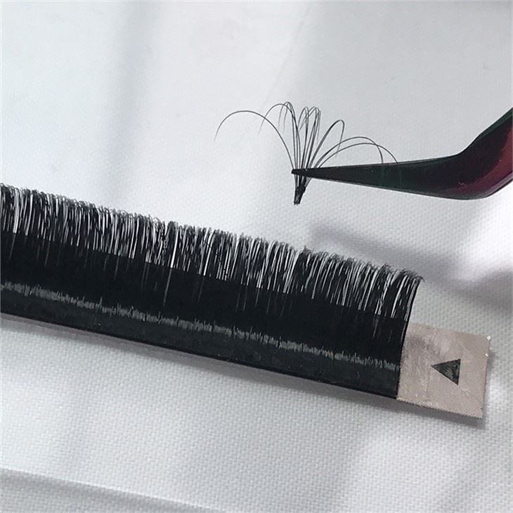 Easy Fan 0.03mm CC Curl Mix